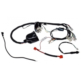 Wiring harness JUNAK 901 SPORT