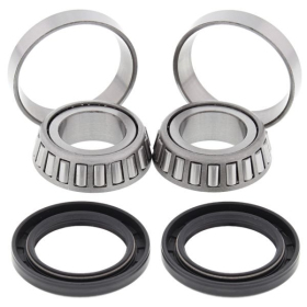 4Ride Rear wheel bearing kit POLARIS XPLORER 300 1999