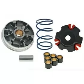 Variator kit MALOSSI Multivar PEUGEOT 100cc 2T