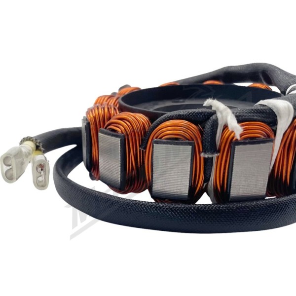 RICK'S MOTORSPORT ELECTRIC Hot Shot Stator Husqvarna / KTM 250-300cc 23-24