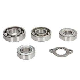 Hot Rods Transmission Bearing Kit Honda TRX 400cc 05-14