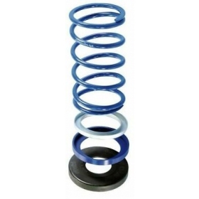 Variator spring POLINI EVO YAMAHA T-MAX 500-560cc 4T (6.0-6.2mm) 1pc