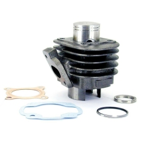 TECNIUM Cylinder Kit Aprilia / Beta / CPI / Malaguti / MBK / PGO / Yamaha 50cc 92-18