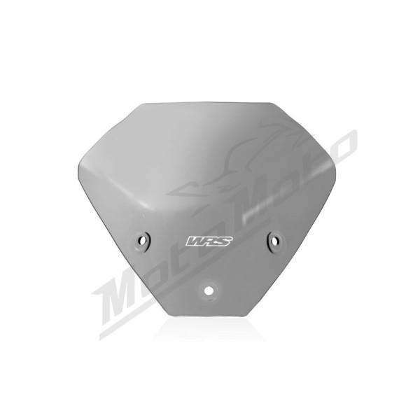 WRS BM076F TOURING Priekinis stiklas Lengvai Tamsintas BMW S1000R ABS 22-24