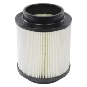 Kimpex Oro filtras Polaris ATP / Magnum / Xplorer / Trauk Boss 200-400 01-19