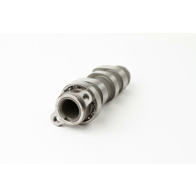 HOT CAMS Camshaft Stage 1 HM / HONDA 450cc 02-14