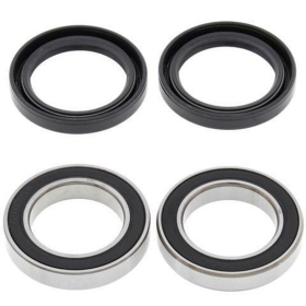 ALL BALLS galinio rato guolių rinkinys Kymco MXU 50-150 06-11/ARTIC CAT 150 09-18