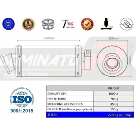 Duslintuvo kompl. Dominator GP1 BMW R1100RS
