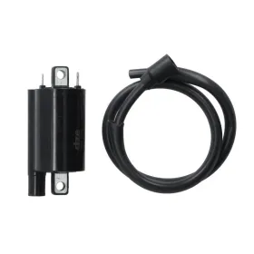 DZE Ignition coil Honda / Kawasaki / Yamaha 125-1000 86-15 