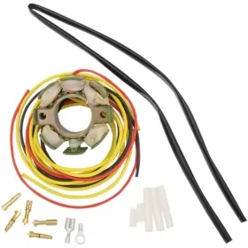 RICK'S MOTORSPORT ELECTRIC Generatorius KTM EXC / MXC / SX / XC / XC-W 125-380cc 98-16