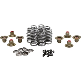 KIBBLEWHITE Beehive Valve™ Spring Kit Harley Davidson FLDE / FLFB / FLFBS / FLHC / FLHTK / FLHX / FLHXSE / FLSL / FXBB / FXLR / FXST 1750-1977 17-26