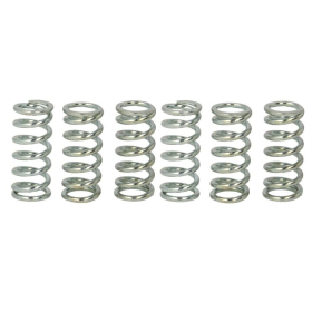 TRW Sankabos spyruoklių kompl. Honda / Suzuki / Triumph 125-1100 72-16