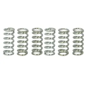 TRW Sankabos spyruoklių kompl. Honda / Suzuki / Triumph 125-1100 72-16