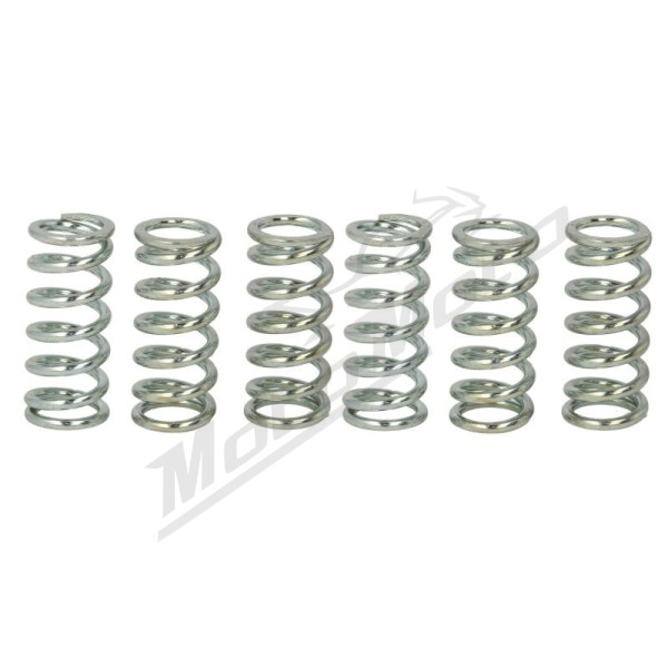 TRW Clutch springs set Honda / Suzuki / Triumph 125-1100 72-16