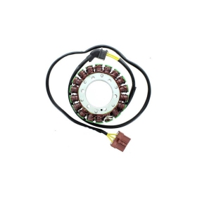 ELECTROSPORT Stator ESG999 Aprilia RSV / Tuono 1000 06-11