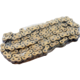 Chain Regina 520 RH2 110 links