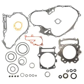PROX Variklio tarpinių kompl. Yamaha YFM 700cc 07-25