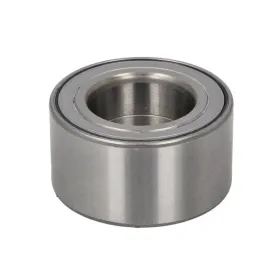 All Balls Wheel Bearing Rear Segway Fugleman / Villain 1000 2023