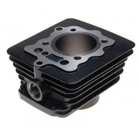 Cylinder SHINERAY XY125-10D AC 125cc / Ø56,5 / PIN Ø13 4T