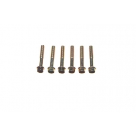 Bolts M6x1 (length 35mm) 6pcs