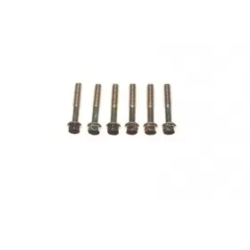 Bolts M6x1 (length 35mm) 6pcs