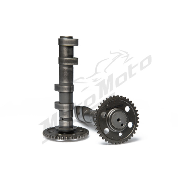 Camshaft set MALOSSI Power Cam Yamaha T-Max 530-560 12-24 H2O 4T
