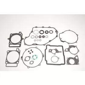ATHENA variklio tarpinių komplektas HUSQVARNA TC / TE / TXC 250 10-12