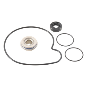Winderosa (vertex) water pump repair kit Polaris 900-1000 16-19