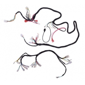 Wiring harness CHINESE SCOOTER LONGJIA QT-4 2T