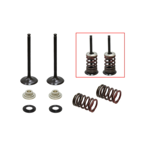 Psychic exhaust valves set SUZUKI RMZ 450 05-06