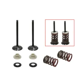 Psychic exhaust valves set SUZUKI RMZ 450 05-06