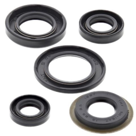 Winderosa (vertex) set of engine seals Yamaha TTR / XT 225-230 92-21