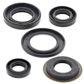 Winderosa (vertex) set of engine seals Yamaha TTR / XT 225-230 92-21