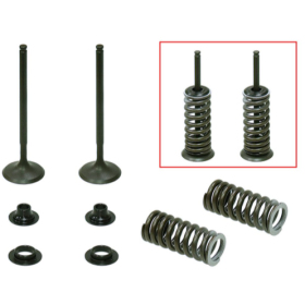 Psychic 2024/03 exhaust valves (valve set with springs and washers)  HONDA CRF 250 R 10-15