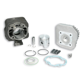 Cilindro komplektas MALOSSI Sport Ø47 Pirštas Ø12 Peugeot 50cc 93-14 AIR 2T