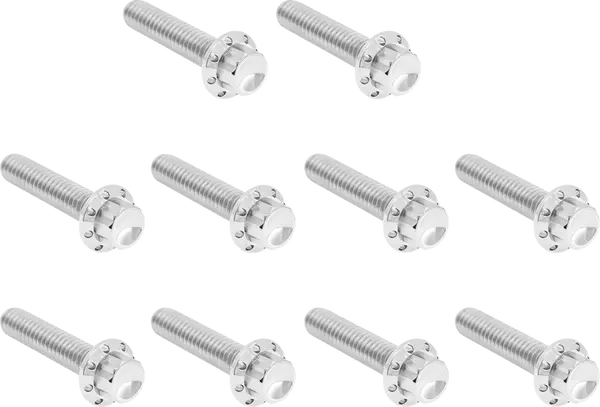 ARLEN NESS Cam Cover/Point Cover Titanium 12-Point Bolt Kit 12pcs. M8
