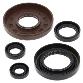 Winderosa (vertex) set (set) of engine seals Honda TRX 500 05-11