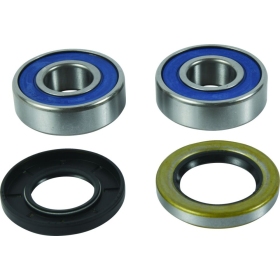 ALL BALLS Front Wheel Bearing Kit BMW F 800cc 2017