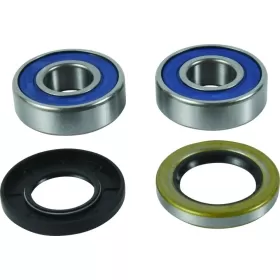ALL BALLS Front Wheel Bearing Kit BMW F 800cc 2017