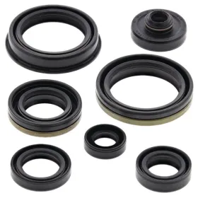 Winderosa (vertex) set of engine seals Suzuki RM 125 04-08