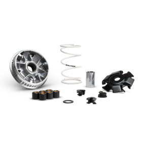 MALOSSI Multivar 2000 Variatorius Voge SR3 250 25-26