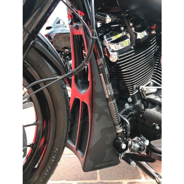 CULT WERK Spoiler Custom Raw Harley Davidson 1750cc 2017-2020