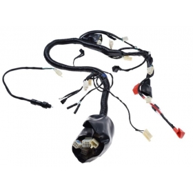 Wiring harness ATV/ ST-9E 250cc 4T