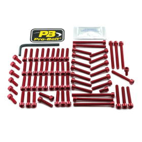PRO BOLT Aluminium Engine Bolt Kit For Yamaha MT-01 1700cc 05-09
