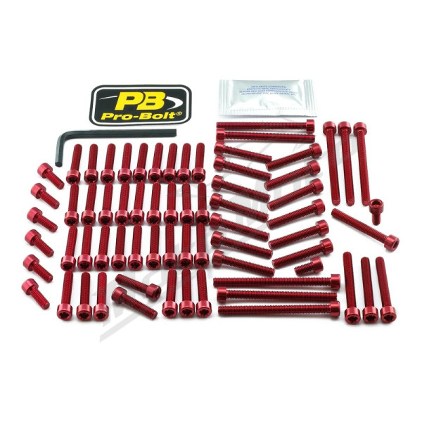 PRO BOLT Aluminium Engine Bolt Kit For Yamaha MT-01 1700cc 05-09
