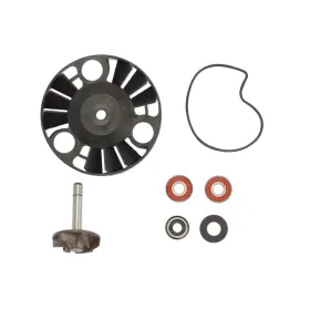 RMS Vandens pompos remonto kompl. Gilera / Piaggio 125-200 00-13