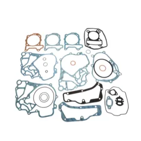 Artein Gaskets variklio tarpinių kompl. Derbi / Peugeot / Piaggio / Vespa 150cc 99-10