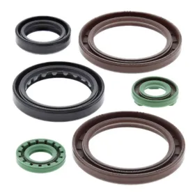 Winderosa (vertex) set (set) of engine seals KTM SX 450-505 ATV 09-10