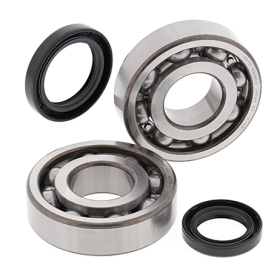 ALL BALLS Crankshaft bearings with seals Suzuki LT500R 87-90