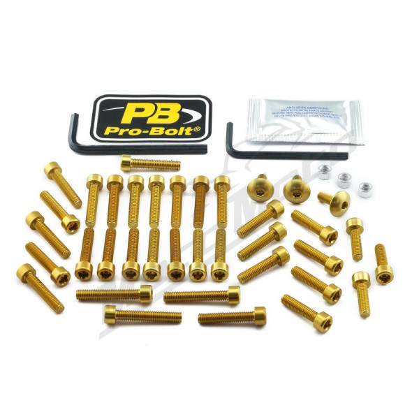 PRO BOLT Aluminium Engine Bolt Kit For Suzuki GSX 1300cc 08-11